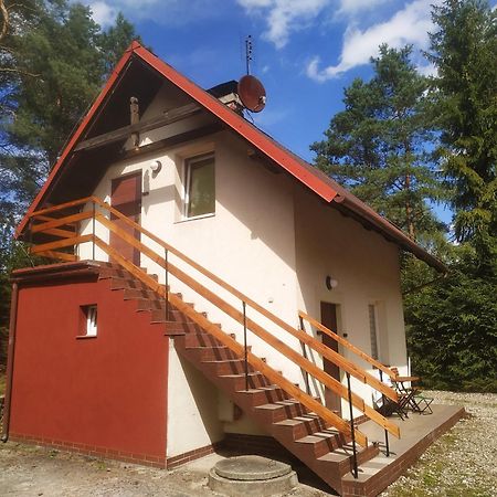 Domek Na Kaszubach Konarzyny ภายนอก รูปภาพ